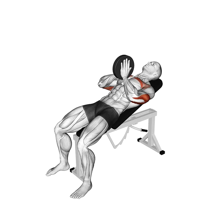 Weighted Incline Svend Press exercise animation (Male)