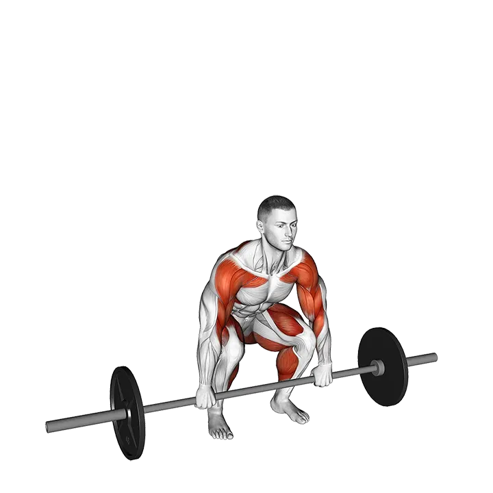 Barbell Muscle Clean exercise animation (Male)
