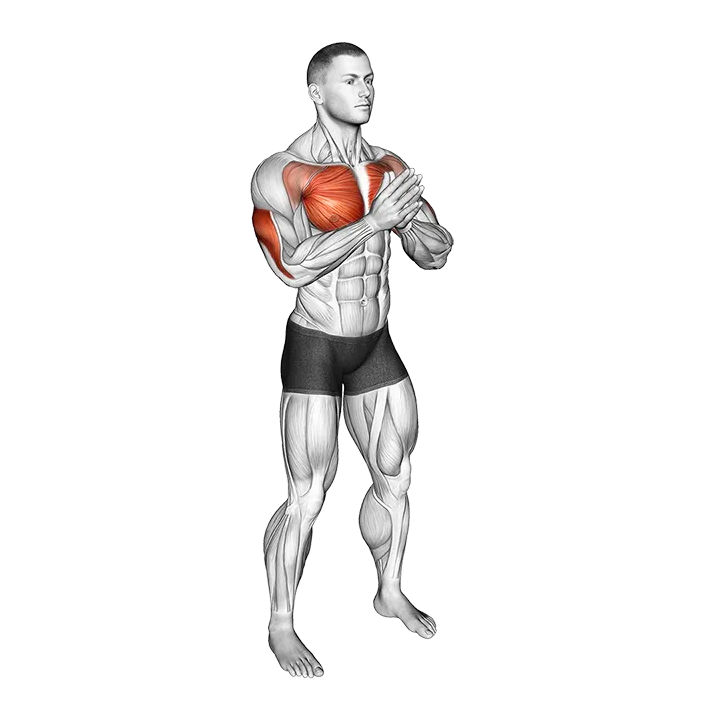 Bodyweight Svend Press exercise animation (Male)