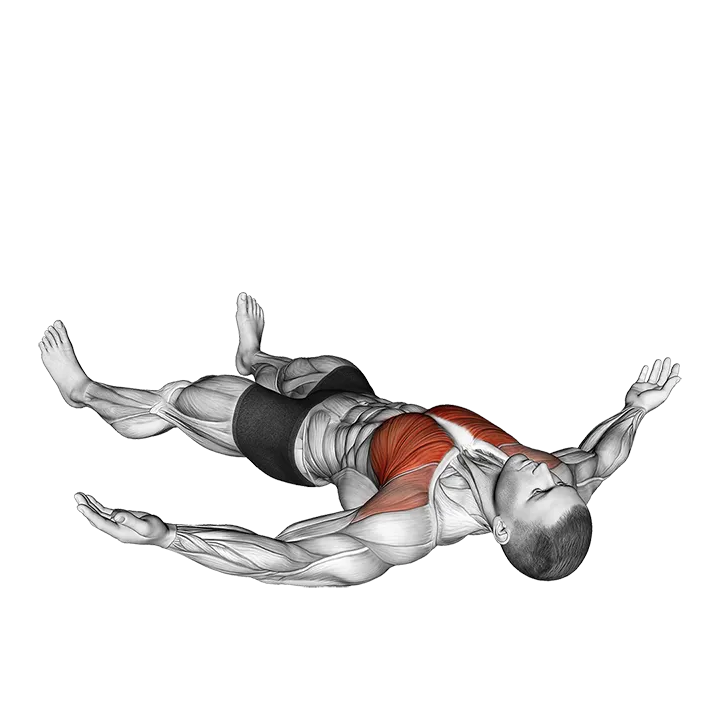 Lying Floor Fly exercise animation (Male)