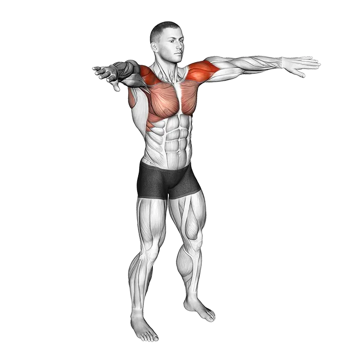 Palm-up Palm down Rotation exercise animation (Male)