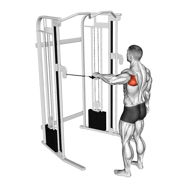 Cable Shoulder 90 degrees External Rotation exercise animation (Male)