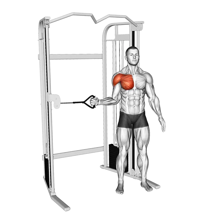 Cable Shoulder Internal Rotation exercise animation (Male)