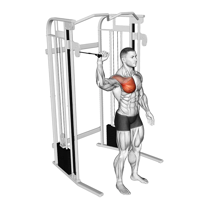 Cable Shoulder 90 degrees Internal Rotation exercise animation (Male)