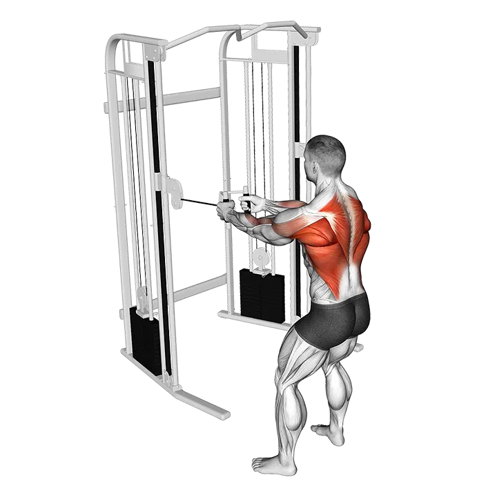 Cable Standing Row exercise animation (Male)