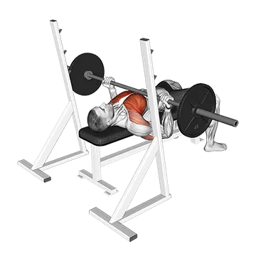Barbell Reverse Grip Bench Press