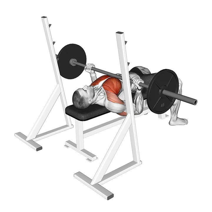 Barbell Reverse Grip Bench Press exercise animation (Male)
