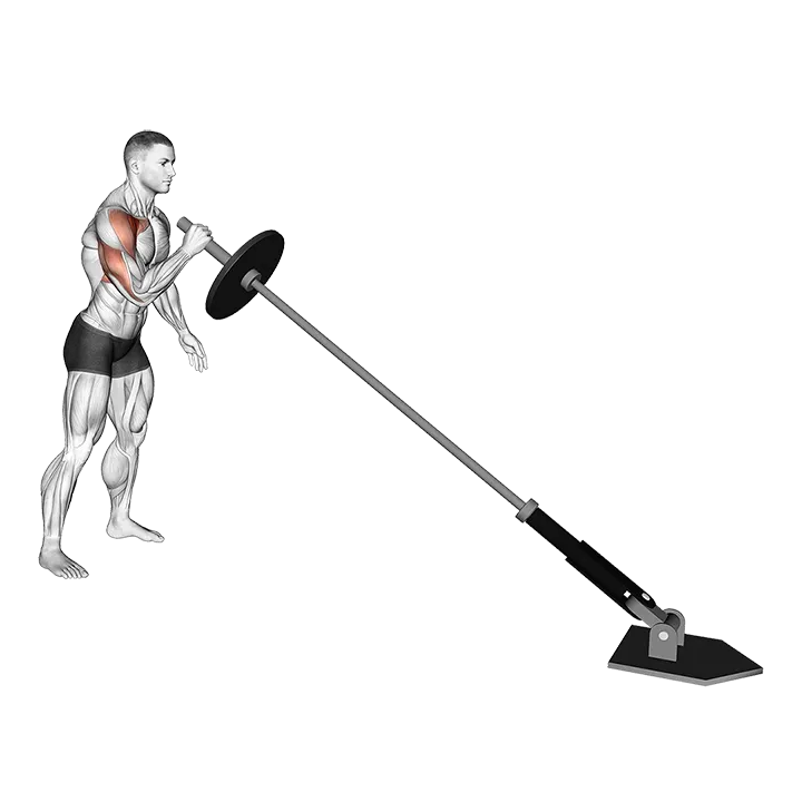 Landmine Single Arm Press exercise animation (Male)