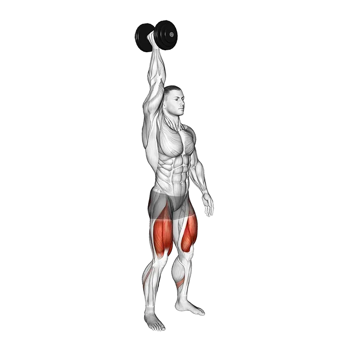 Single Arm Overhead Dumbbell Squat exercise animation (Male)