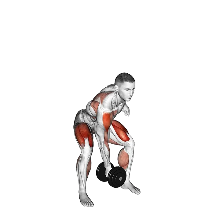 Dumbbell Single Power Clean exercise animation (Male)