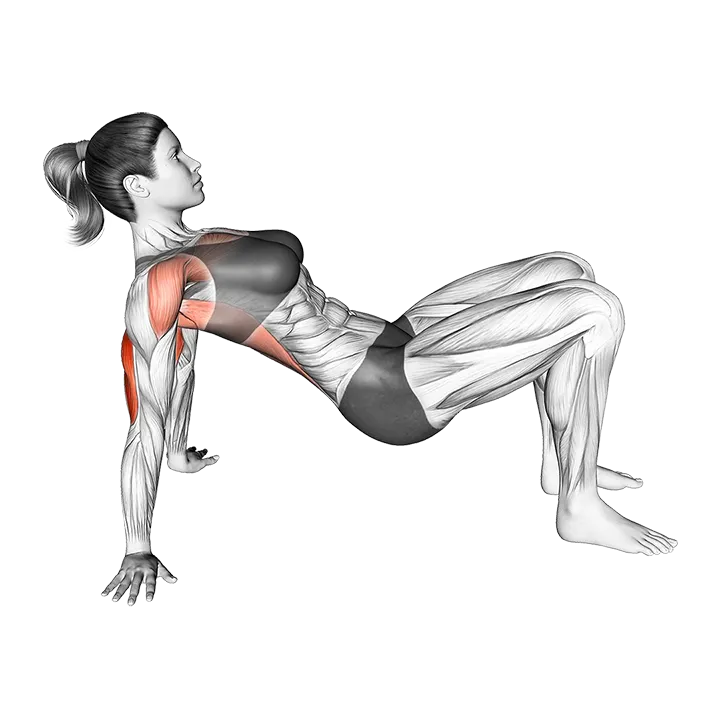 Triceps Dip Floor exercise animation (Female)