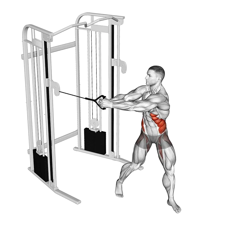 Cable Twist (VERSION 2) exercise animation (Male)