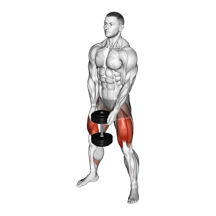 Dumbbell Sumo Squat exercise animation (Male)