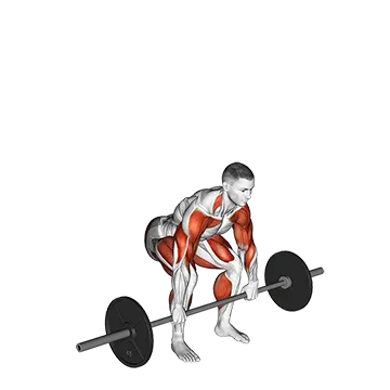 Barbell Clean and Jerk