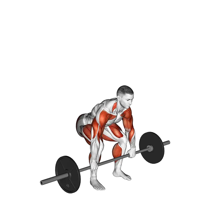 Barbell Clean and Jerk exercise animation (Male)