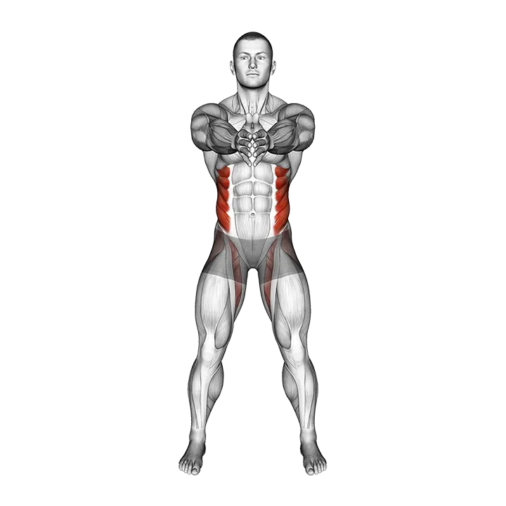 Standing Ab Twist exercise animation (Male)