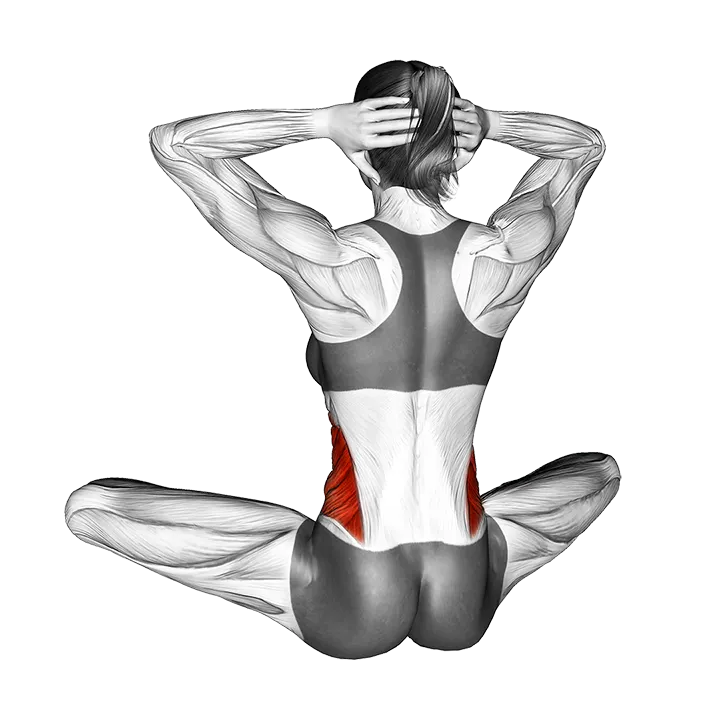 Seated Back Twist exercise animation (Female)