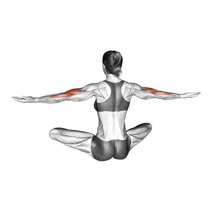 Seated Neck Tap exercise animation (Female)