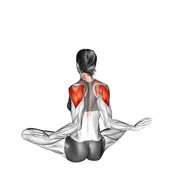 Seated Ballerina