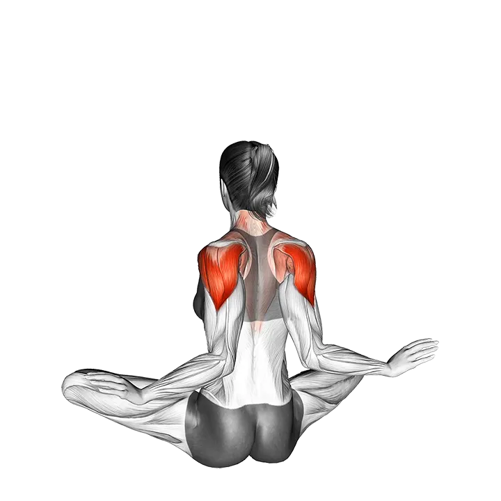 Seated Ballerina exercise animation (Female)