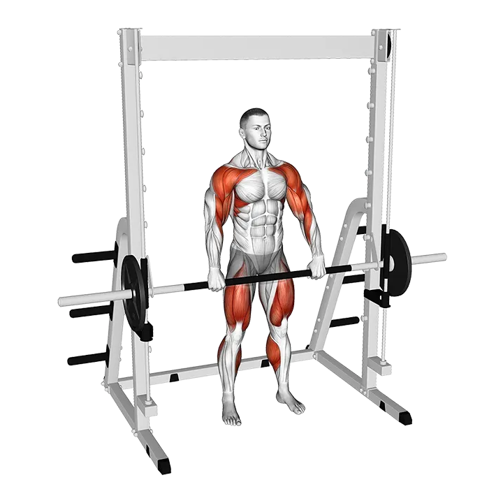 Smith Hang Clean exercise animation (Male)