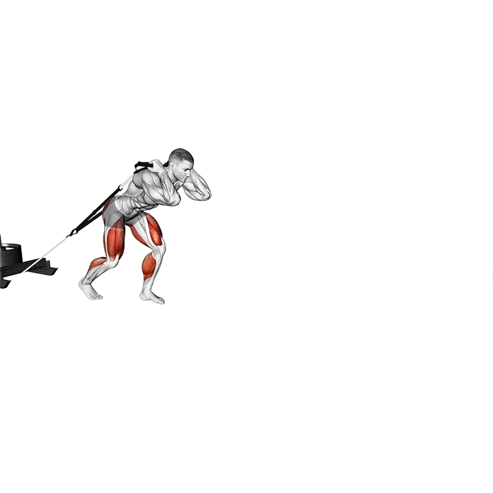 Power Sled Drag exercise animation (Male)