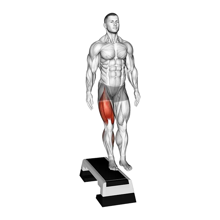 Lateral Step-up exercise animation (Male)
