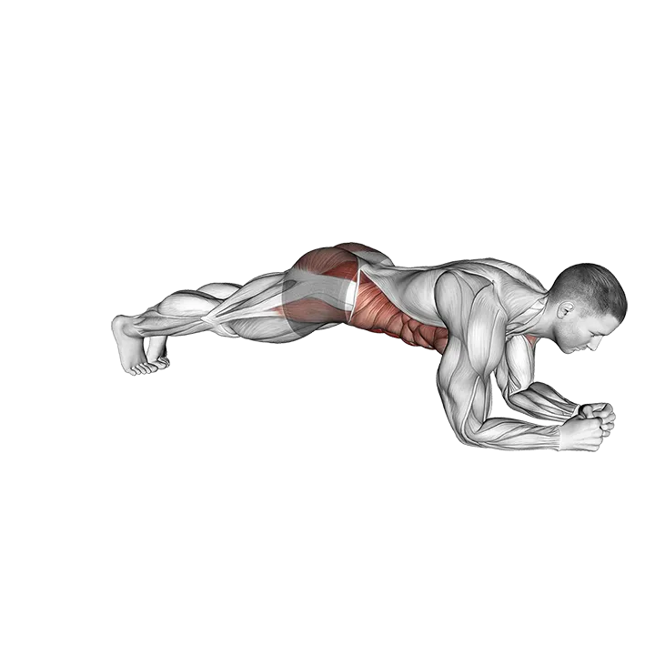 Plank Jack on Elbows exercise animation (Male)