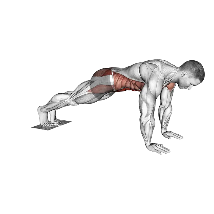 Plank Jack Slide with Towel exercise animation (Male)