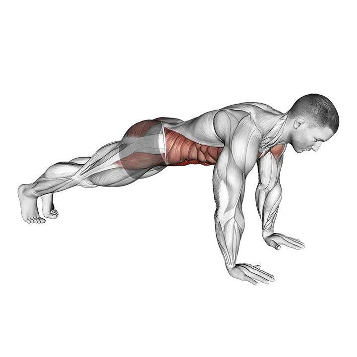 Plank on Hands exercise animation (Male)