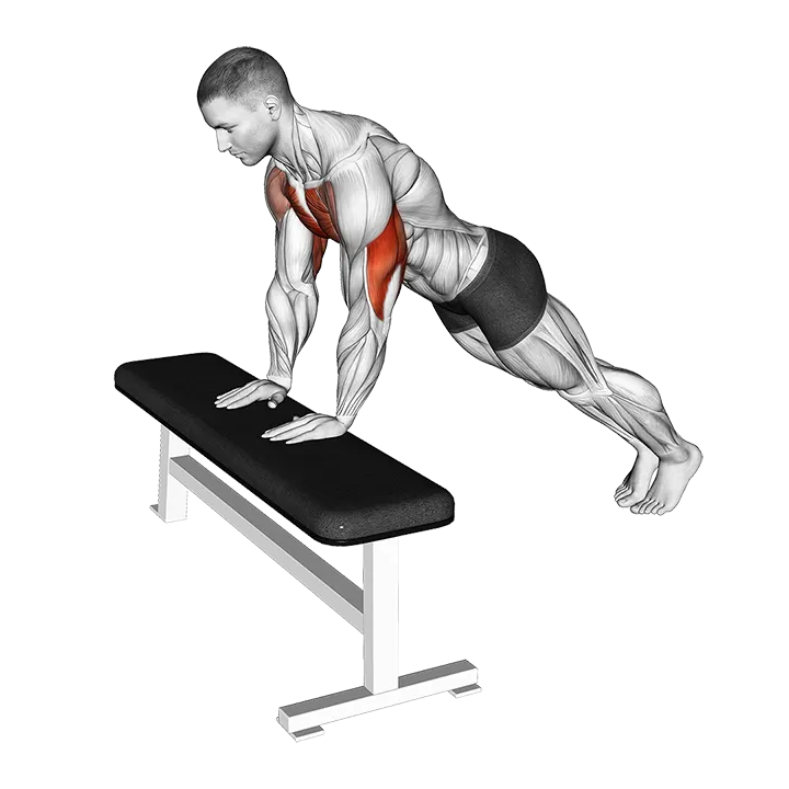 Incline Close Grip Push-up exercise animation (Male)