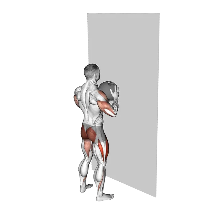 Medicine Ball Throw Squat with Wall exercise animation (Male)