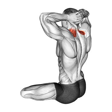 Seated Neck Stretch