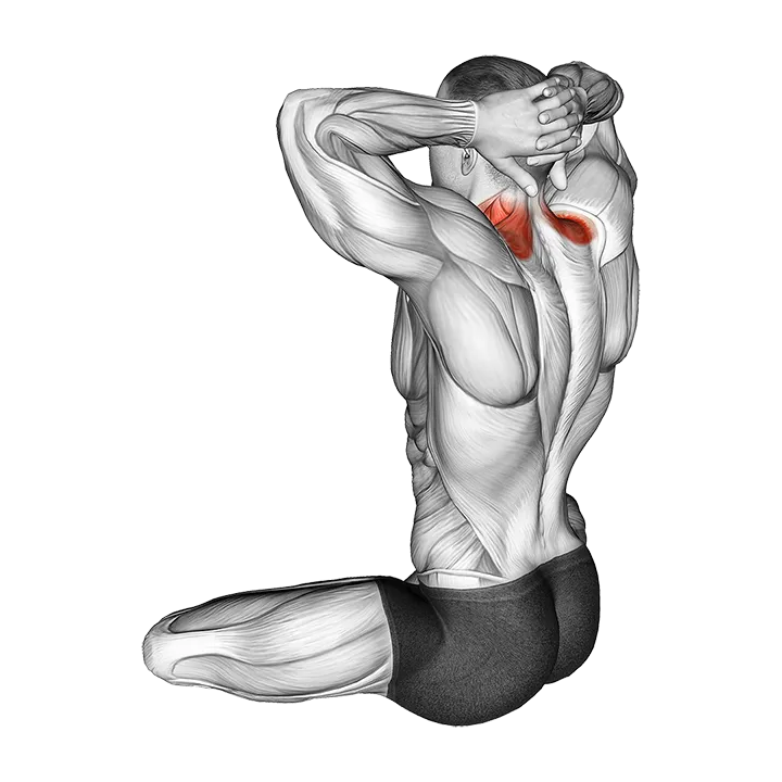 Seated Neck Stretch exercise animation (Male)