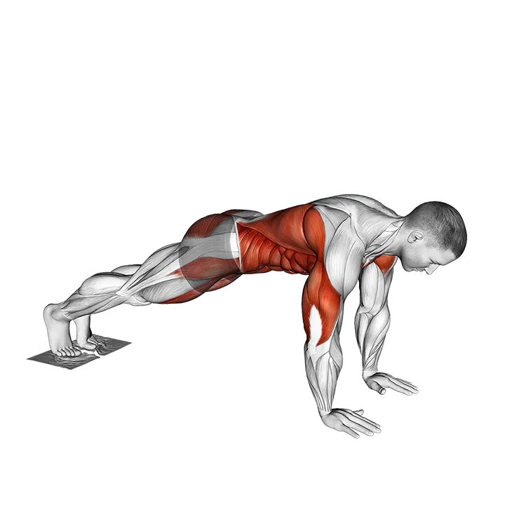 Plank Pike Slide with Towel exercise animation (Male)