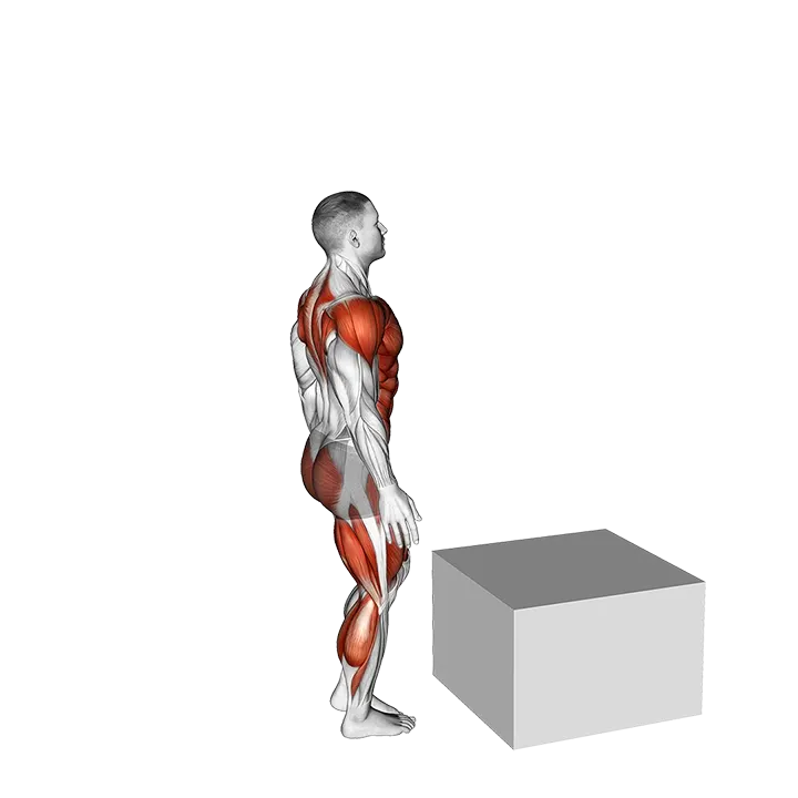 Single Leg Box Jump exercise animation (Male)