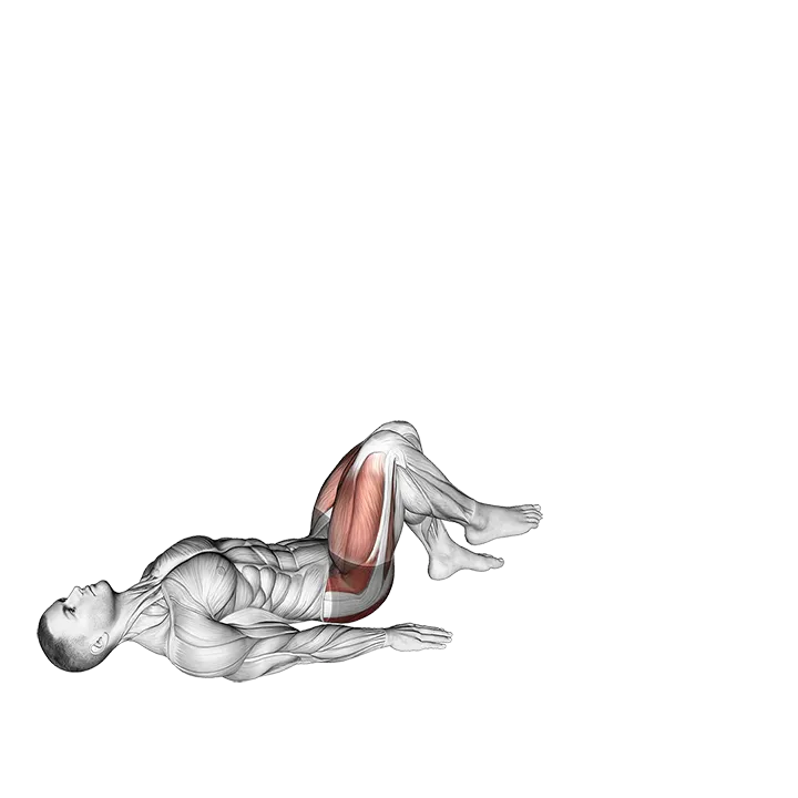 Single Leg Glute Bridge with External Rotation exercise animation (Male)