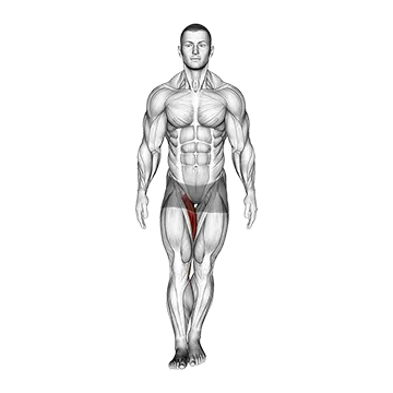 Standing Hip Adduction (VERSION 2)