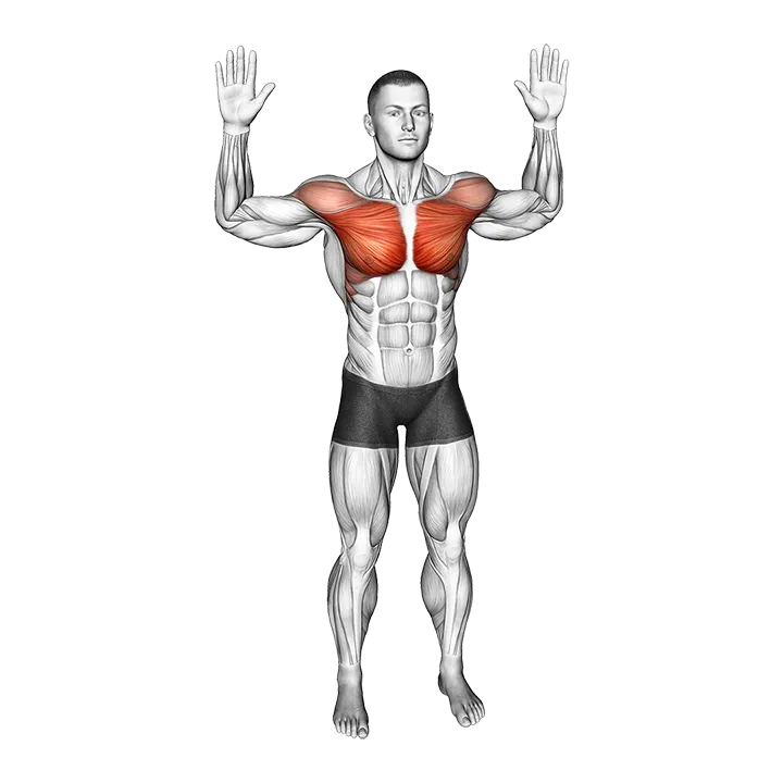 Bodyweight Standing Fly exercise animation (Male)