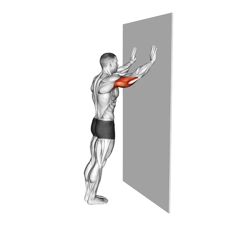 Wall Pulse exercise animation (Male)