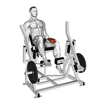 Lever Single Leg Extension (plate loaded)