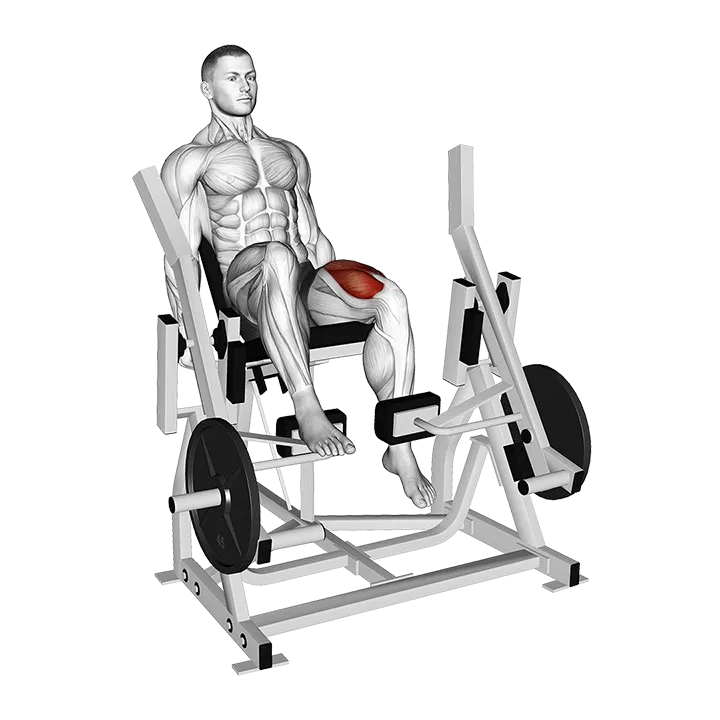 Lever Single Leg Extension (plate loaded) exercise animation (Männlich)