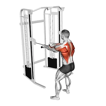 Cable Standing Close Grip Row