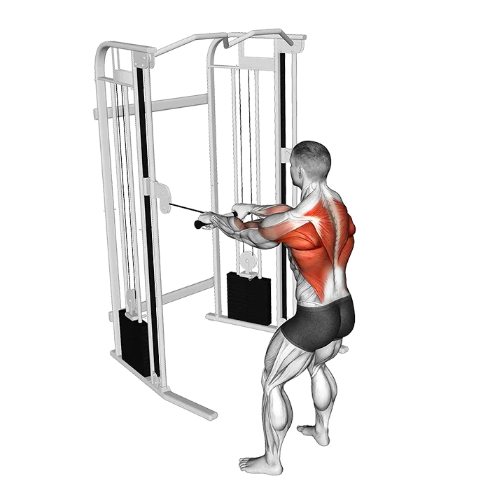Cable Standing Close Grip Row exercise animation (Male)