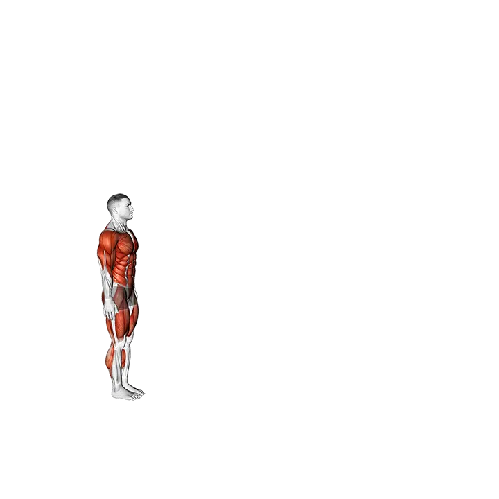 Burpee Long Jump with Push-up exercise animation (Male)