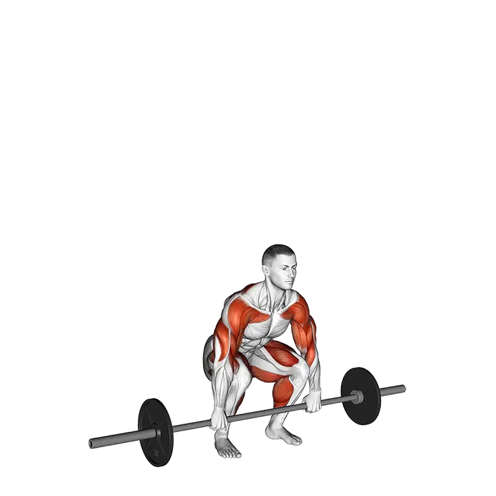 Barbell Clean and Jerk exercise animation (Male)