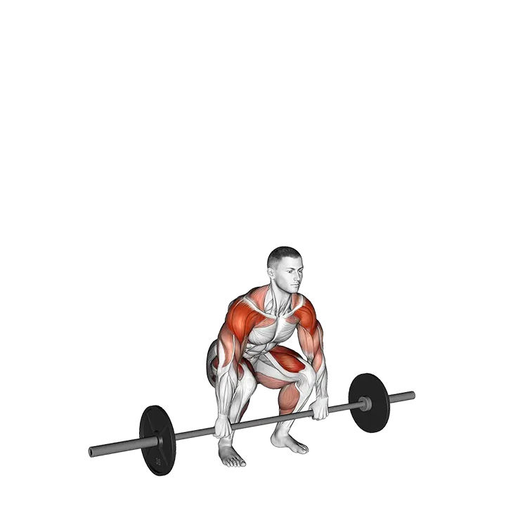 Cluster exercise animation (Male)