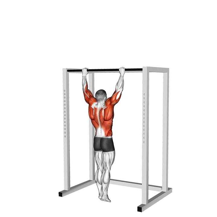 Bodyweight Muscle-up (VERSION 2) exercise animation (Male)