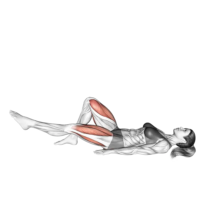 Single Straight Leg Glute Bridge Hold exercise animation (Female)