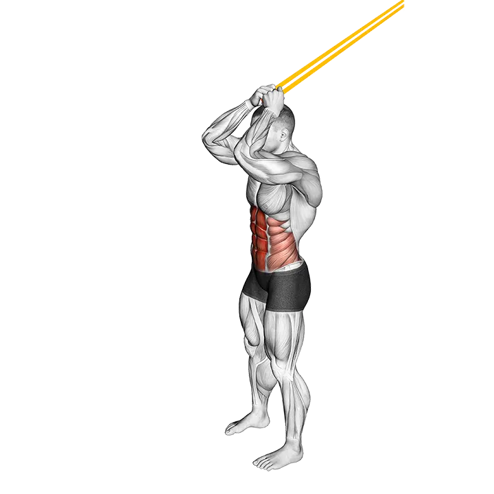 Resistance Band Standing Ab Crunch exercise animation (Male)